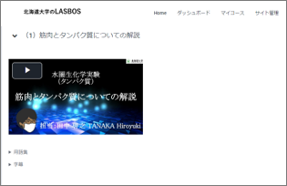 セクション: 折り畳み表示2（HTML：summaryタグの使用） | 【Tips